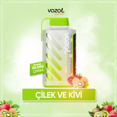 Vozol Gear Power 20000 Strawberry Kiwi